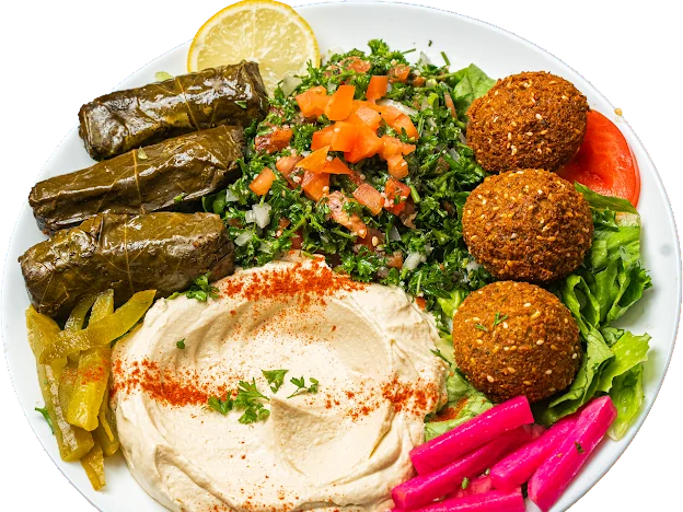 Vegetarian combo with hummus, falafel, tabbouleh and grape leaves