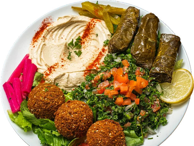 Vegetarian combo with hummus, falafel, tabbouleh and grape leaves