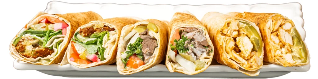 Shawarma and kabob sandwich wraps
